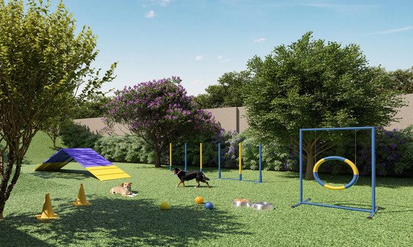 BAC-IMG-AP-029-PET-PERSP-R00-scaled