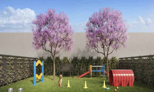 IMA-CONX_MISSIONARIO-PETPLACE-ALTA-R01_Easy-Resize.com_