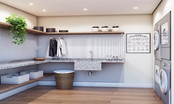 PAC-IMG-MV-029-LAVAN-R01