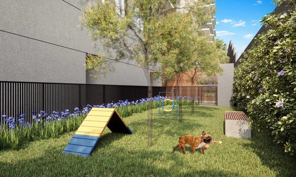 YGE-IMG-0007-PETPLACE-R00